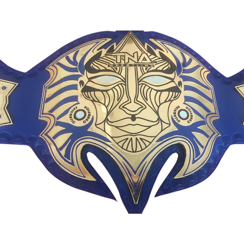 TNA JEFF HARDY Brass Championship Belt